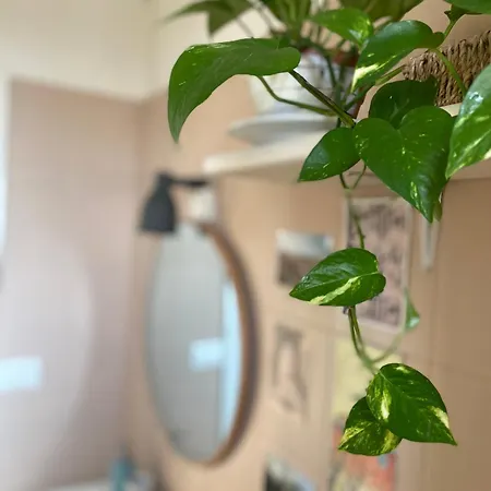 Placidia Couette-café Ravenne